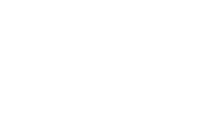 SNM English Logo